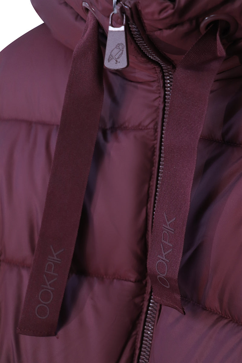 AGNES-3